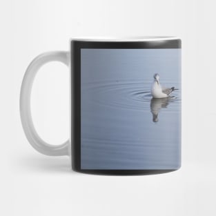 Gull on the water Mug